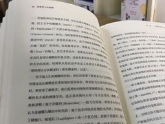 -木及咖啡