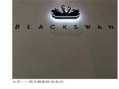 -BLACKSWAN黑天鹅(环球店)