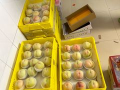 -老袁家蜜桃农场·阳山水蜜桃