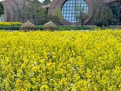 -广富林郊野公园