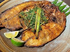 香芧香烤罗非鱼-滇越乘象云南餐厅(豆各庄店)