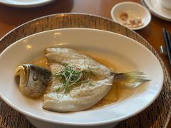 鸡油鲜竹笋蒸黄鱼-广州富力君悦大酒店空中花园