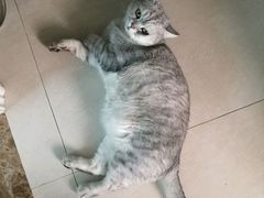 -上海大学嘉定校区-食堂