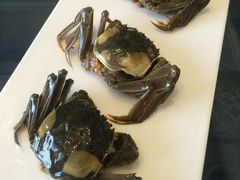 -新光酒家·河豚·海鲜·蟹料理(浦东店)