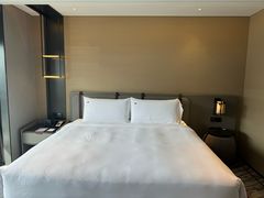 -新加坡瑞士史丹福酒店