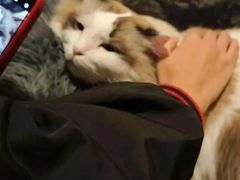 -白兔子密室(长寿路店)