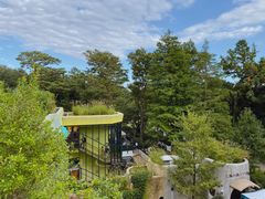 -三鹰之森吉卜力美术馆