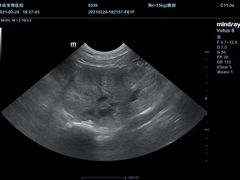 -康成宠物医院24H·CT·核磁共振