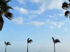 -BE NORMAL CAFE(霞溪路店)