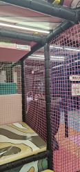 -MELAND CLUB亲子乐园·派对·餐厅(北京芳圆里ID MALL店)
