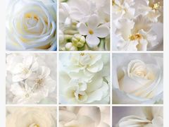 -天津医科大学肿瘤医院(本部院区)