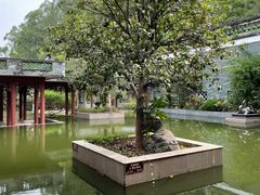 -广州神农草堂中医药博物馆