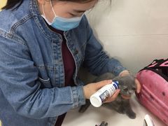 -瑞鹏宠物医院·微创内窥镜·骨外科·牙科(翠竹分院)