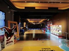 -新影联·华谊兄弟影院(望京店)