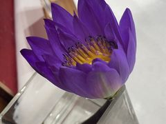 -上海老饭店(北京分店)