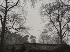-大金鹰园