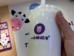 -一只酸奶牛(八一路店)