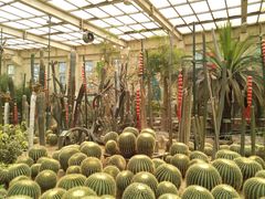 -石家庄市植物园