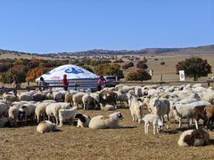 -五角枫生态旅游景区