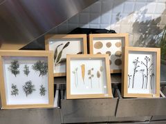 -植物学家的女儿(北马道巷店)