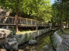 -白水寺森林公园