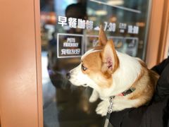 -sugarman espresso素饮糖人高新咖啡工厂