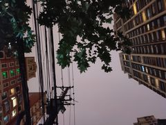 -樱吉岛寿喜锅(肇嘉浜路店)