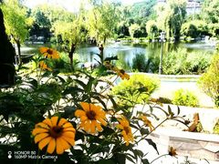 -大连罗马假日酒店温泉