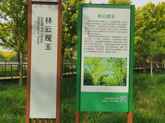 -东郊湿地公园