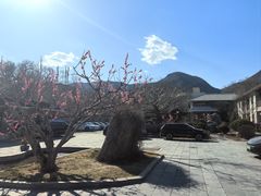 -品湘宴·湖南宁乡菜