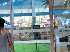 -青岛东方影都融创水世界