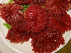 -杨家火锅(国美店)