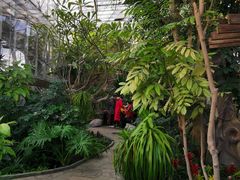 -北京植物园-展览温室