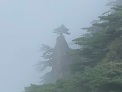 -黄山白云宾馆