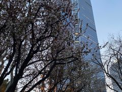 -静安公园(静安寺街道)
