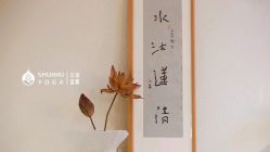 -水沐莲清瑜伽·普拉提