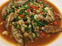 -千岛湖小鱼儿·淳安匠心农家菜