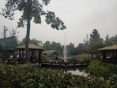 -成飞公园