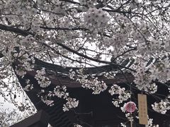 -堤角公园