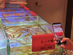 -囍凤楼·粤菜·点心·火锅(温特莱店)