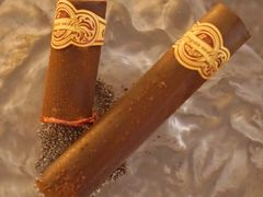 -Hi City·城市之巅