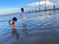 -碧海金沙