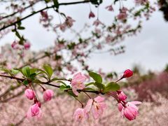 -堤角公园