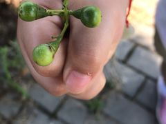 -喜洋洋蟹庄(阳澄湖店)