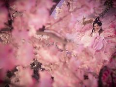 -九月鹰飞汉服摄影工作室