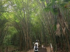 -凤栖山