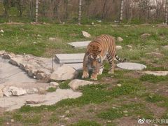 -西安秦岭野生动物园