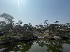 -罗红摄影艺术馆