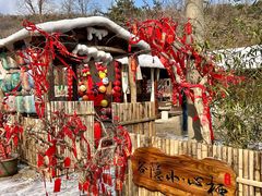 -沂蒙山旅游区云蒙景区(蒙山国家森林公园)