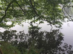 -庐山风景区花径公园